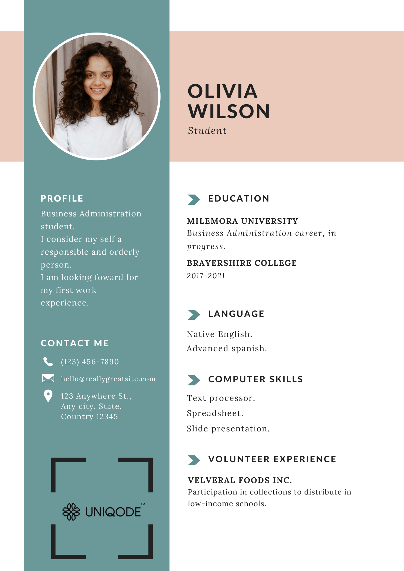 Clean and concise QR Code resume